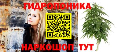 героин Кингисепп