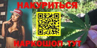 шишки Заволжье