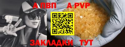 шишки Заволжье