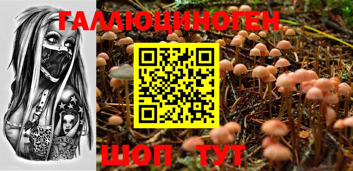 Галлюциногенные грибы мухоморы  Вход с VPN  Галлюциногенные грибы прущие грибы  Красноармейск 